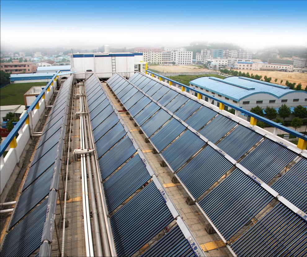 1733731033587891.jpg 1.jpg